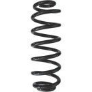 Spidan | Fahrwerksfeder | 87948