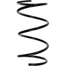 Spidan | Fahrwerksfeder | 49681