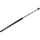 2110603 Gasfeder, Koffer-/Laderaum