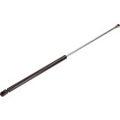 2 x MAXGEAR Gasfeder, Koffer-/Laderaum | 12-0136