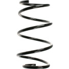 Spidan | Fahrwerksfeder | 55099