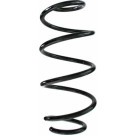 Spidan | Fahrwerksfeder | 87520