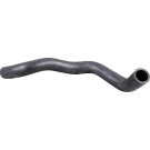 2421080 Kühlerschlauch