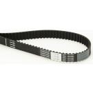 CT1101 Zahnriemen CT1101 Zahnriemen