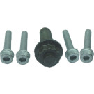80001253 Schraubensatz, Riemenscheibe-Kurbelwelle