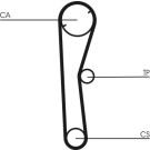 ContiTech | Zahnriemen | CT674