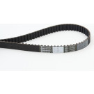 CT1081 Zahnriemen CT1081 Zahnriemen