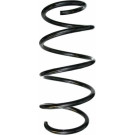 Spidan | Fahrwerksfeder | 88120 Spidan | Fahrwerksfeder | 88120