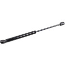 2110769 Gasfeder, Koffer-/Laderaum