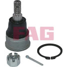 825 0424 10 Trag-/Führungsgelenk