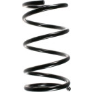 Spidan | Fahrwerksfeder | 55348