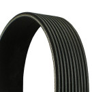 ContiTech | Keilrippenriemen | 10PK2475