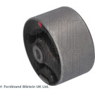 Blue Print | Lagerung, Differential | ADBP800476