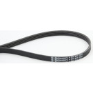 ContiTech | Keilrippenriemen | 4PK855