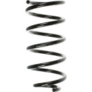 Spidan | Fahrwerksfeder | 49617