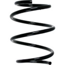 Spidan | Fahrwerksfeder | 49755