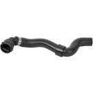 2420097 Kühlerschlauch