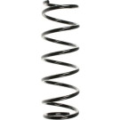 Spidan | Fahrwerksfeder | 49571