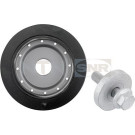 DPF355.04K1 Riemenscheibe, Kurbelwelle