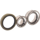 SKF | Radlagersatz | VKBA 1499