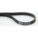 ContiTech | Keilrippenriemen | 6PK1370