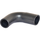 2420250 Kühlerschlauch