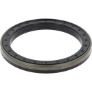 12017098B Dichtring