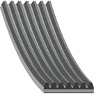 FEBI BILSTEIN 47402 Keilrippenriemen