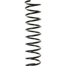 Spidan | Fahrwerksfeder | 49287