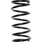 Spidan | Fahrwerksfeder | 49572