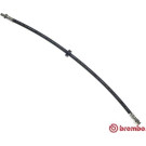 Brembo | Bremsschlauch | T 61 055