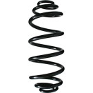 Spidan | Fahrwerksfeder | 55972