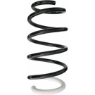 Spidan | Fahrwerksfeder | 87226