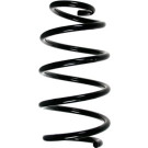 Spidan | Fahrwerksfeder | 56667