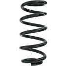 Spidan | Fahrwerksfeder | 87278
