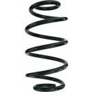 Spidan | Fahrwerksfeder | 87298