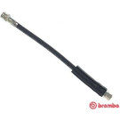 Brembo | Bremsschlauch | T 85 143
