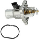 NRF | Thermostat, Kühlmittel | 725030