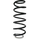 Spidan | Fahrwerksfeder | 87114