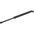 FEBI BILSTEIN 27596 Gasfeder, Koffer-/Laderaum