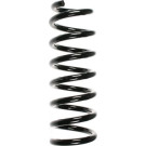 Spidan | Fahrwerksfeder | 55048
