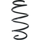 Spidan | Fahrwerksfeder | 87623