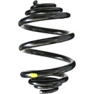 Spidan | Fahrwerksfeder | 48811