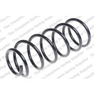 4237240 Fahrwerksfeder