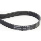 ContiTech | Keilrippenriemen | 6PK1075