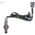 DOX-0279 Lambdasonde