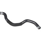 2420909 Kühlerschlauch