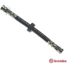 Brembo | Bremsschlauch | T 85 029