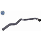 Vaico | Kühlerschlauch | V20-0897