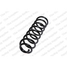 4272933 Fahrwerksfeder